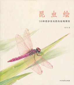 昆虫绘封面图