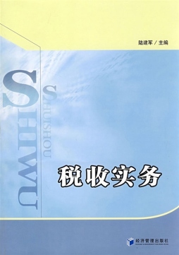 税收实务封面图