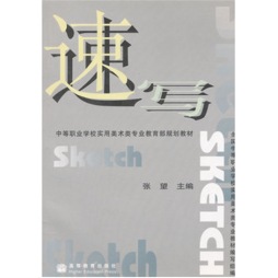 速写封面图