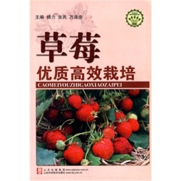草莓优质高效栽培封面图