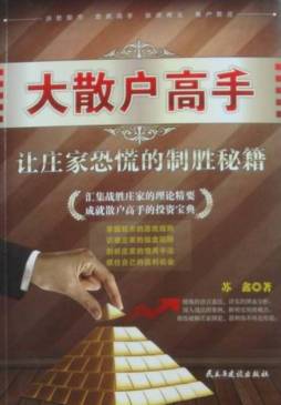 大散户高手封面图