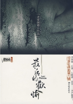 最后的欢愉封面图