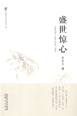 盛世惊心封面图