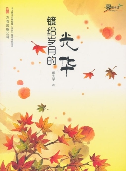 镀给岁月的光华封面图