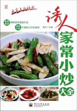 诱人家常小炒大全封面图