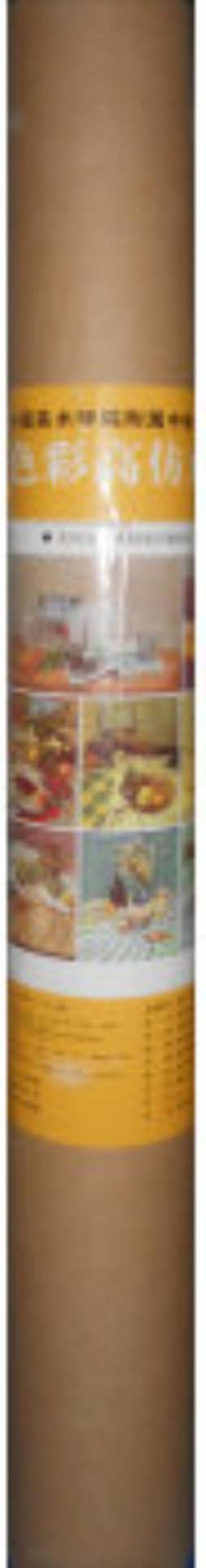 色彩高仿真范画封面图