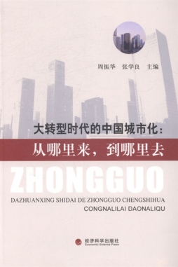 大转型时代的中国城市化封面图