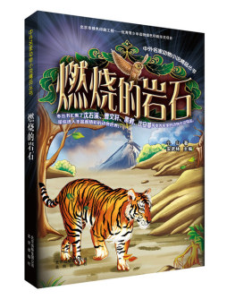 燃烧的岩石封面图