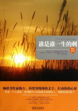 谁是谁一生的刺封面图