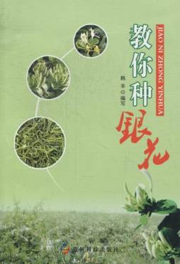 教你种银花封面图