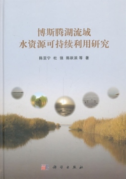 博斯腾湖流域水资源可持续利用研究封面图