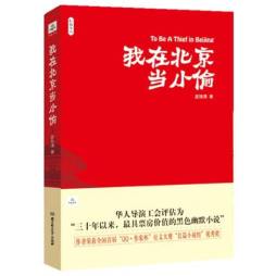 我在北京当小偷封面图