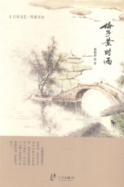 梅子黄时雨封面图