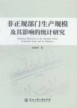 非正规部门生产规模及其影响的统计研究封面图