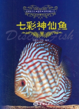 七彩神仙鱼封面图