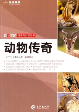 动物传奇封面图