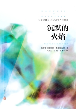沉默的火焰封面图