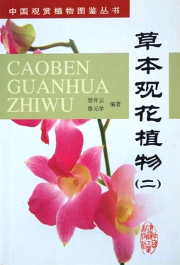 草本观花植物封面图