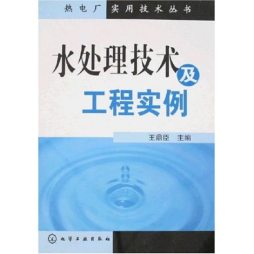 水处理技术及工程实例封面图