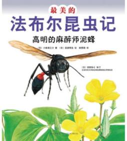 最美的法布尔昆虫记封面图
