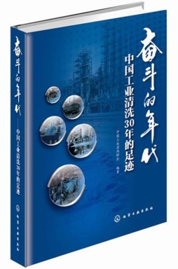 奋斗的年代封面图