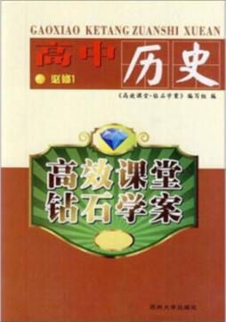 高效课堂·钻石学案封面图