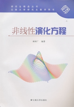 非线性演化方程封面图