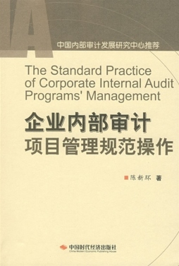 企业内部审计项目管理规范操作封面图