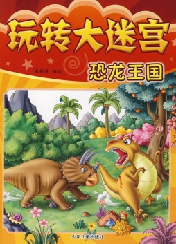 玩转大迷宫封面图