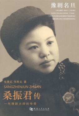 桑振君传封面图