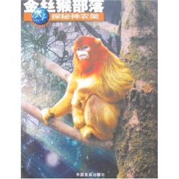 金丝猴部落封面图