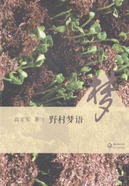 野村梦语封面图