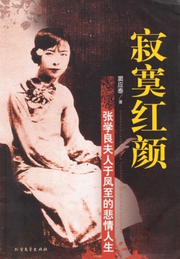 寂寞红颜封面图