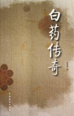 白药传奇封面图