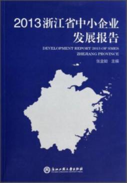 2013浙江省中小企业发展报告封面图