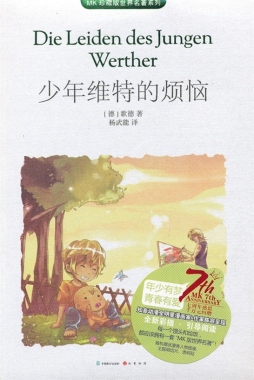 少年维特的烦恼封面图