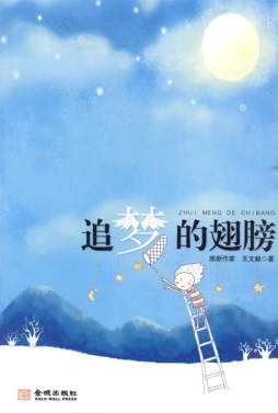 追梦的翅膀封面图