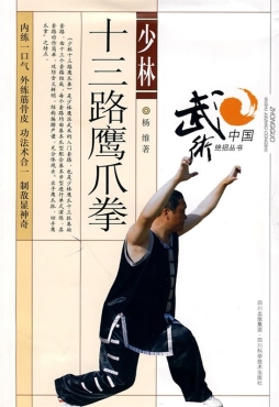 少林十三路鹰爪拳封面图