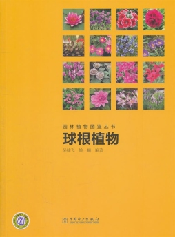 球根植物封面图