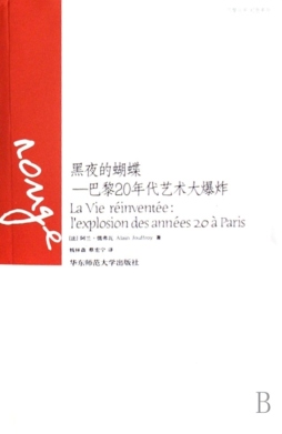 黑夜的蝴蝶封面图