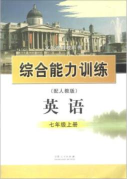 综合能力训练封面图