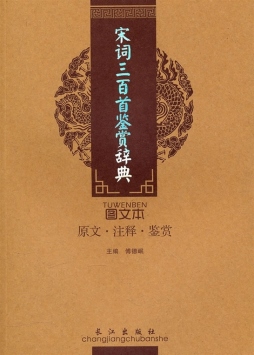 宋词三百首鉴赏辞典封面图