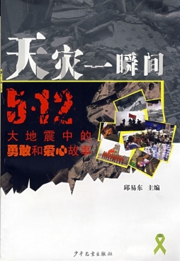 天灾中一瞬间封面图