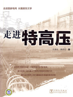 走进国家电网长篇报告文学封面图