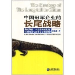 中国冠军企业的长尾战略封面图