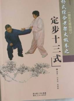 杨式综合老架太极拳封面图