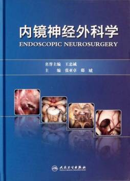 内镜神经外科学封面图