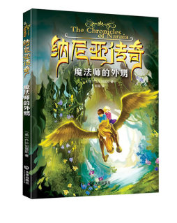 魔法师的外甥封面图