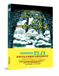 一个人的冬天封面图
