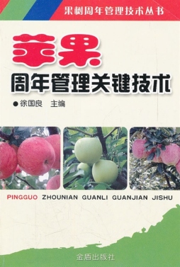 苹果周年管理关键技术封面图